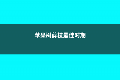 苹果树剪枝最佳时间 (苹果树剪枝最佳时期)