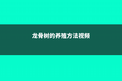 龙骨树的养殖方法 (龙骨树的养殖方法视频)