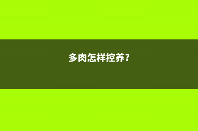 多肉怎么控养出状态 (多肉怎样控养?)