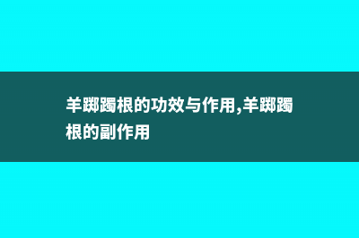 羊踯躅怎么养 (羊踯躅根的功效与作用,羊踯躅根的副作用)