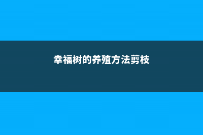 幸福树的养殖方法 (幸福树的养殖方法剪枝)