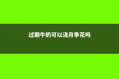 过期牛奶可以浇花吗，还有哪些浇花方式 (过期牛奶可以浇月季花吗)