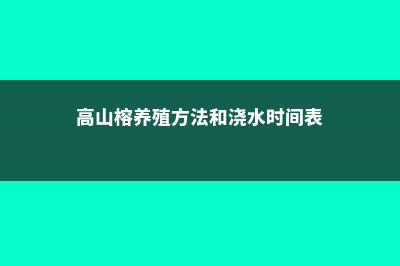 高山榕的养殖方法及注意事项 (高山榕养殖方法和浇水时间表)