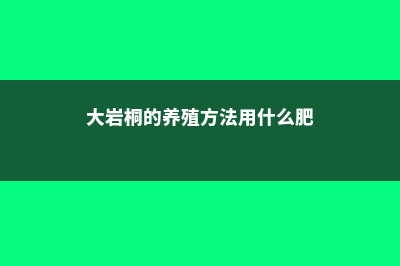 大岩桐的养殖方法和注意事项 (大岩桐的养殖方法用什么肥)