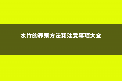 水竹的养殖方法和注意事项 (水竹的养殖方法和注意事项大全)