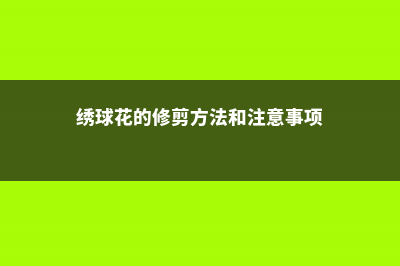 绣球花的修剪方法图解，什么时间修剪 (绣球花的修剪方法和注意事项)