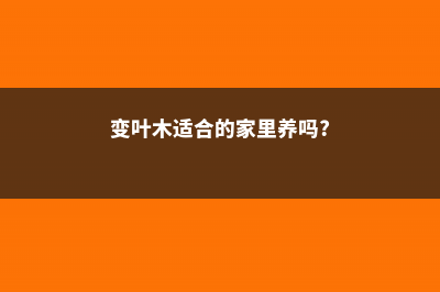 变叶木怎么养比较好 (变叶木适合的家里养吗?)