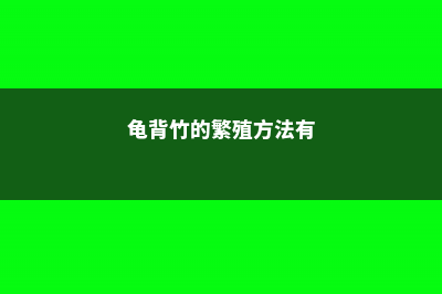 龟背竹的繁殖方法图解 (龟背竹的繁殖方法有)