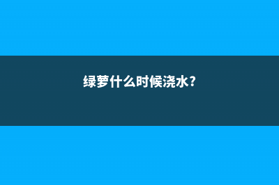 绿萝什么时候浇水好 (绿萝什么时候浇水?)