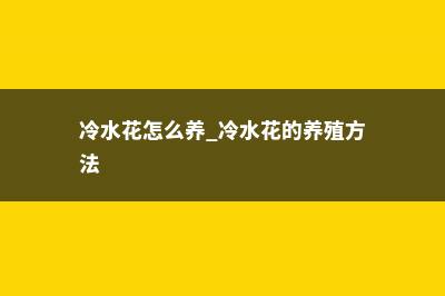 冷水花怎么养 (冷水花怎么养 冷水花的养殖方法)