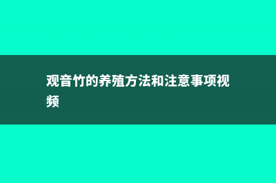 观音竹的养殖方法和注意事项，和富贵竹有什么区别 (观音竹的养殖方法和注意事项视频)