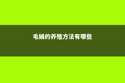 毛娟的养殖方法有哪些 (毛娟的养殖方法有哪些)