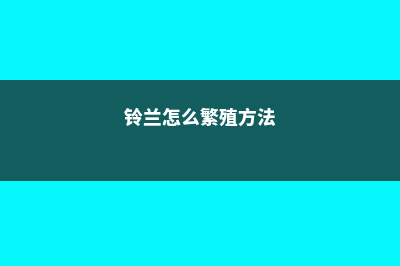 铃兰怎么繁殖 (铃兰怎么繁殖方法)