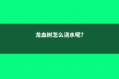 龙血树怎么浇水 (龙血树怎么浇水呢?)