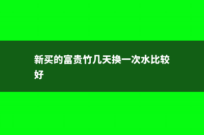 新买的富贵竹几天换水，几天能生根 (新买的富贵竹几天换一次水比较好)