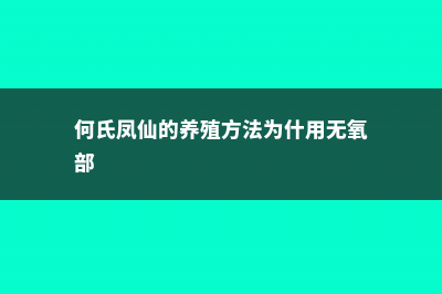 何氏凤仙的养殖方法和注意事项 (何氏凤仙的养殖方法为什用无氧部)