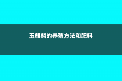 玉麒麟的养殖方法 (玉麒麟的养殖方法和肥料)