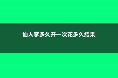 仙人掌多久开一次 (仙人掌多久开一次花多久结果)