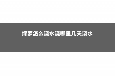 绿萝怎样正确浇水，浇在什么地方 (绿萝怎么浇水浇哪里几天浇水)