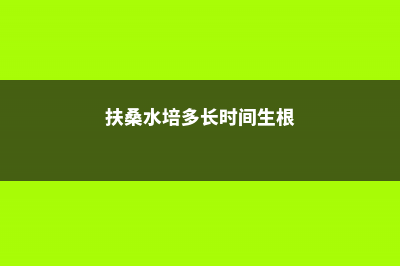 扶桑的水培扦插方法，怎么生根快 (扶桑水培多长时间生根)