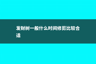 发财树修剪时间，正确时间来一刀，来年长更猛！ (发财树一般什么时间修剪比较合适)