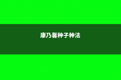 盆栽康乃馨种子怎么种（什么季节种植，好发芽吗） (康乃馨种子种法)