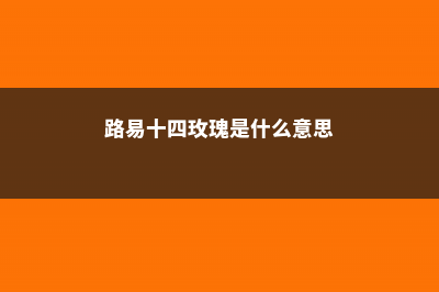 路易十四玫瑰怎么种植：好养吗？怎么养？ (路易十四玫瑰是什么意思)