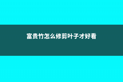 富贵竹怎么修剪，怎么进行繁殖 (富贵竹怎么修剪叶子才好看)