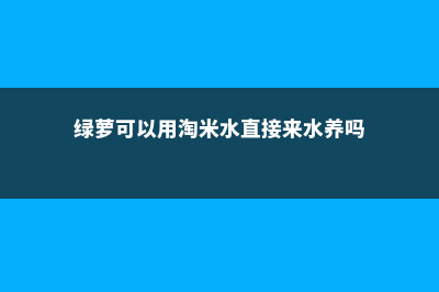 绿萝可以用淘米水养吗，怎么浇正确？ (绿萝可以用淘米水直接来水养吗)