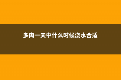 多肉一天什么时候浇水，用喷雾好吗 (多肉一天中什么时候浇水合适)