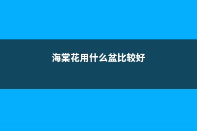 海棠花用什么盆养，大盆还是小盆好？ (海棠花用什么盆比较好)