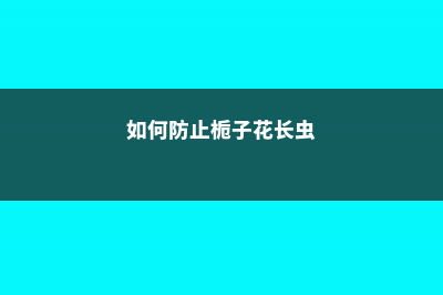 如何防止栀子花烂根，附烂根处理方法 (如何防止栀子花长虫)