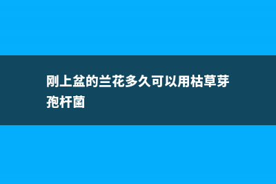 刚上盆的兰花多久施肥 (刚上盆的兰花多久可以用枯草芽孢杆菌)