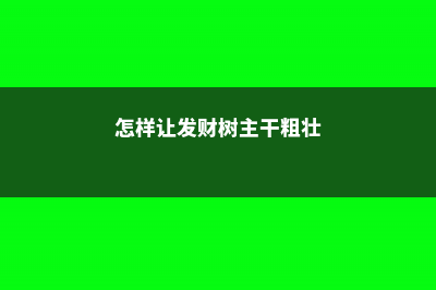 怎样让发财树主干长粗，小型发财树能养大吗 (怎样让发财树主干粗壮)