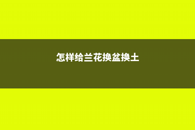 怎样给兰花换盆：什么时间、什么土栽培最好？ (怎样给兰花换盆换土)