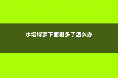 水培绿萝有根了可以土培吗，怎样改土培 (水培绿萝下面根多了怎么办)