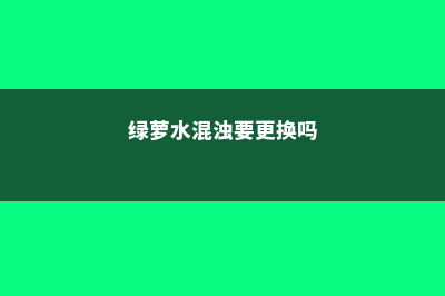 绿萝水很脏怎么打理，水培绿萝多久换一次水 (绿萝水混浊要更换吗)