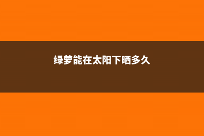 绿萝能在太阳下晒吗：会晒蔫吗，正确的养护方法是什么 (绿萝能在太阳下晒多久)