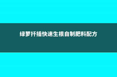 绿萝扦插快速生根方法，水培加白糖能快速生根吗 (绿萝扦插快速生根自制肥料配方)