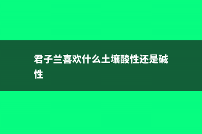 君子兰喜欢什么肥料：底肥用什么？可以浇啤酒和用鸡蛋吗？ (君子兰喜欢什么土壤酸性还是碱性)