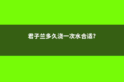 君子兰多久浇一次水，用什么水浇最好 (君子兰多久浇一次水合适?)