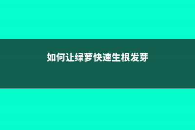 如何让绿萝快速生根  一根叶子变成一盆 (如何让绿萝快速生根发芽)