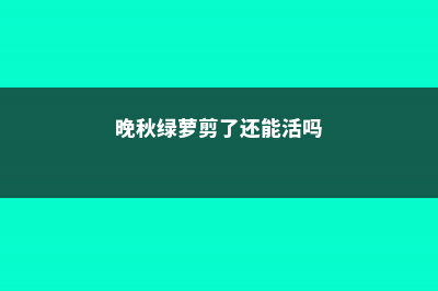 晚秋绿萝剪了还能长吗 剪了还能活吗 (晚秋绿萝剪了还能活吗)