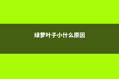 绿萝叶子小上什么肥料 叶子发黄用什么肥 (绿萝叶子小什么原因)