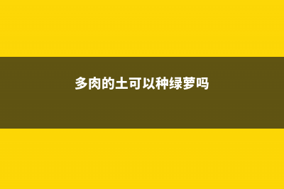 多肉的土可以种绿萝吗，可以种在一起吗 (多肉的土可以种绿萝吗)