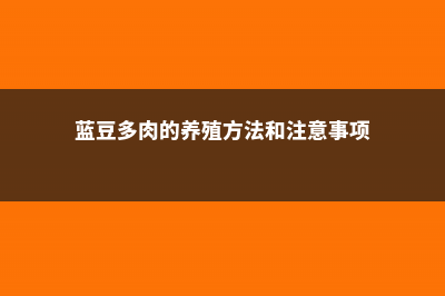 蓝豆多肉怎么养，怎么繁殖多爆头？ (蓝豆多肉的养殖方法和注意事项)