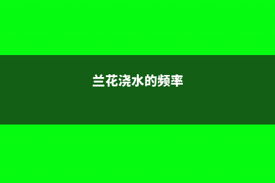 兰花浇水多久一次，如何判断兰花该浇水了 (兰花浇水的频率)