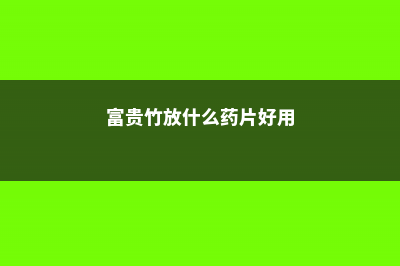 富贵竹放什么药生根快，老是不生根怎么办 (富贵竹放什么药片好用)