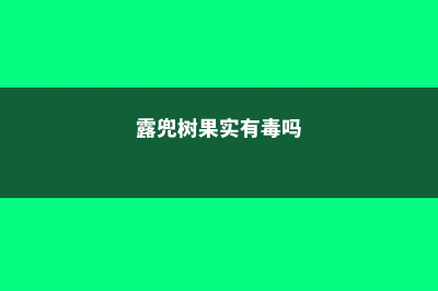 露兜树果实能不能吃，果子如何剥开？ (露兜树果实有毒吗)