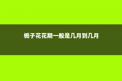 栀子花的花期一年几次，不开花怎么办呢？ (栀子花花期一般是几月到几月)